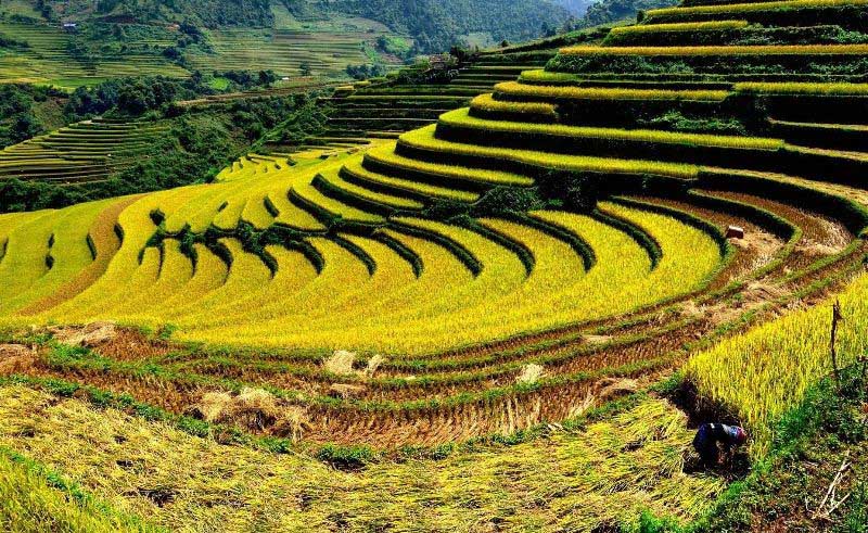 Things listed as best Vietnam travel guides to Dien Bien holidays