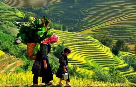 Reasons for That Sapa Trekking Tour Is Loved by Foreign Tourists