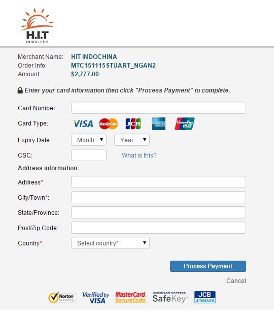 Online Payment input