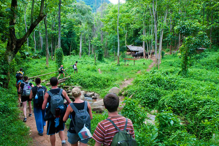 Trekking in Cuc Phuong National Park