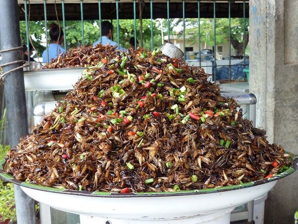 Cambodia-fried-grasshoppers