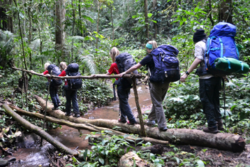 Real Jungle Trek and Culture Experience in Luang Namtha, Laos