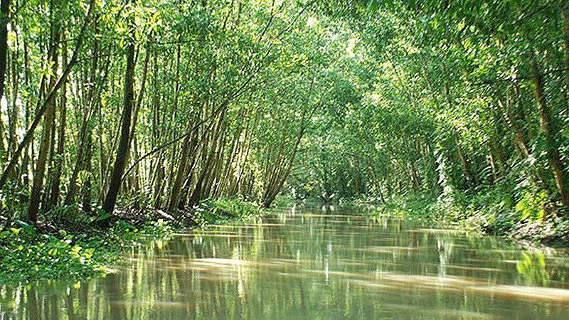 Top 7 most gorgeous destinations of Mekong Delta Cycling Tour