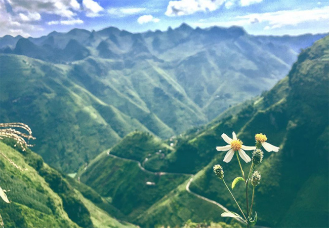 ha giang