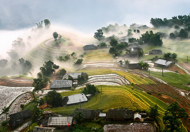 hoang su phi