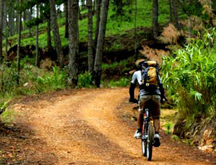 Mountain Biking to Dalat & Down to Nha Trang